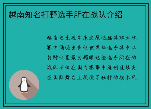 越南知名打野选手所在战队介绍